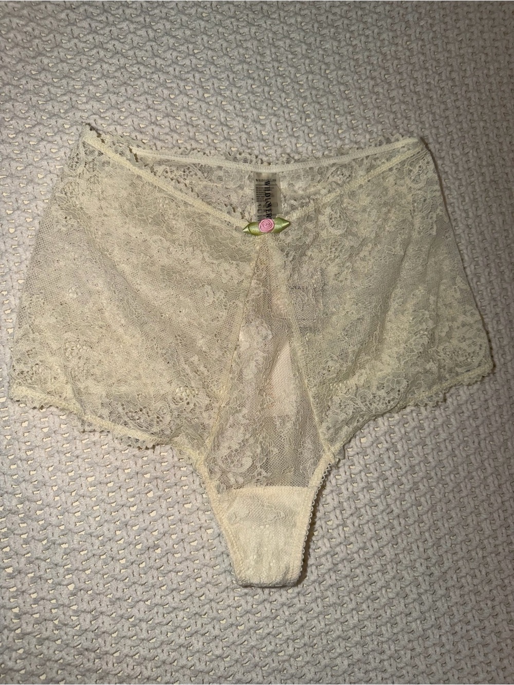 NWT free people Wild Lovers High-Waist Lace Cheeky Panties in Ivory with Rose 🌹